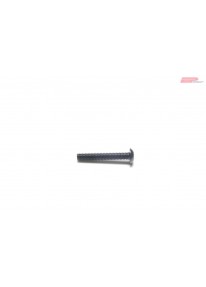 EP M4x20mm Knopfkopf - Innensechskant_13674
